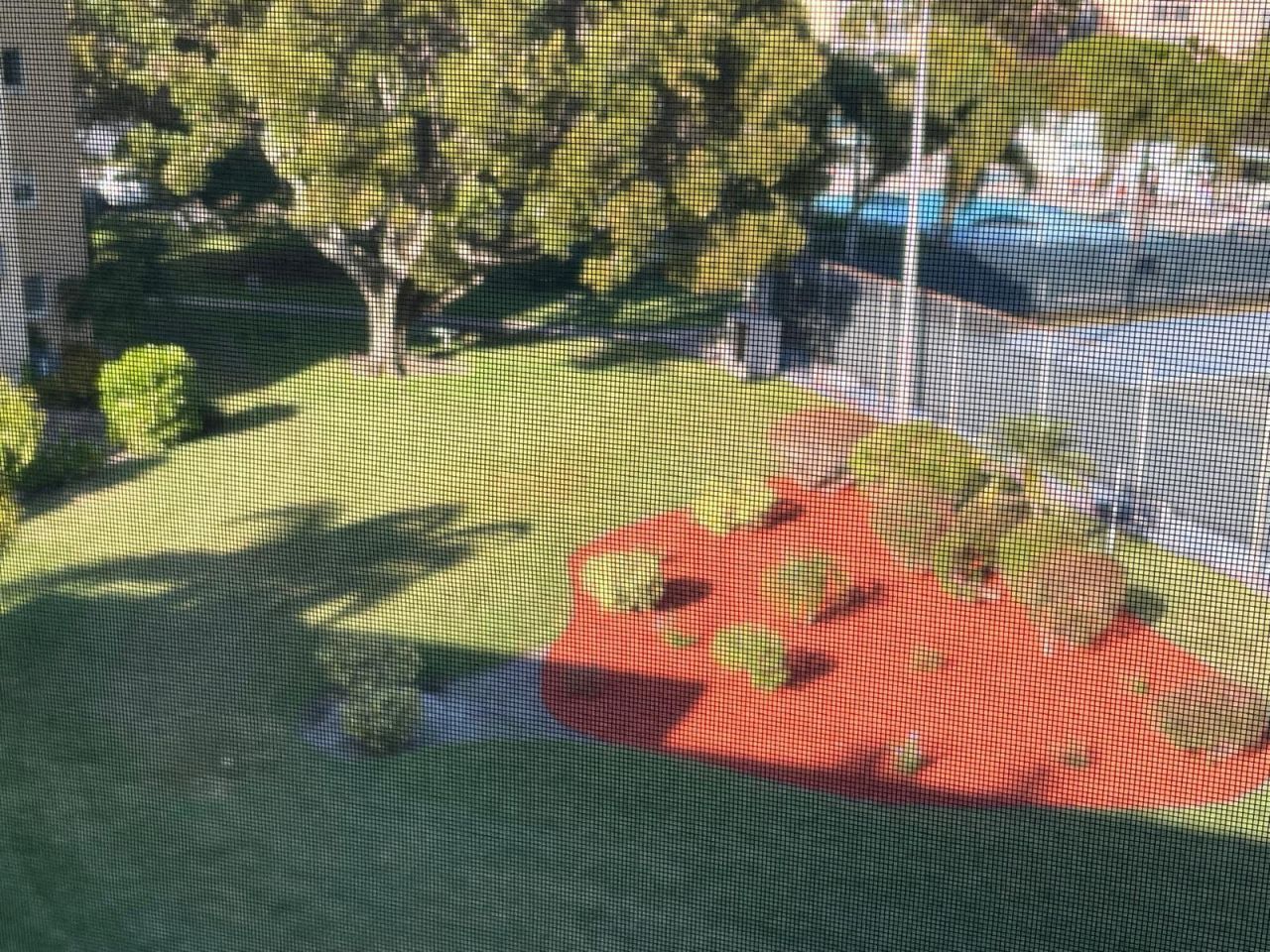 2520 NE 1st Ct, Unit 411, Boynton Beach, FL 33435 Photo