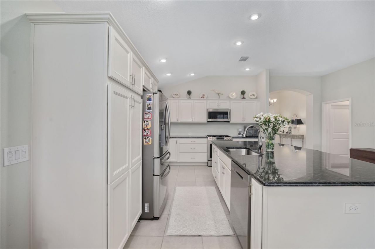 1510 Knudson Run, The Villages, FL 32163 Photo