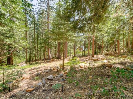 41080 Putt Rd, Alta, CA 95701 Photo