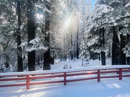 41080 Putt Rd, Alta, CA 95701 Photo