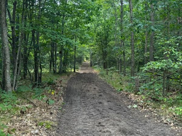 V/L Dexter Road, Wellston, MI 49689