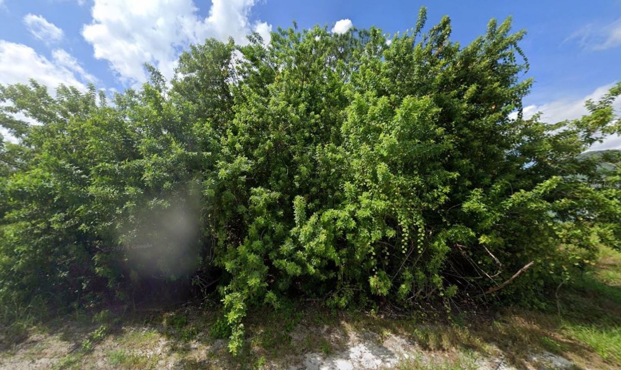 1398 Parham Avenue Se, Palm Bay, FL 32909 Main Photo