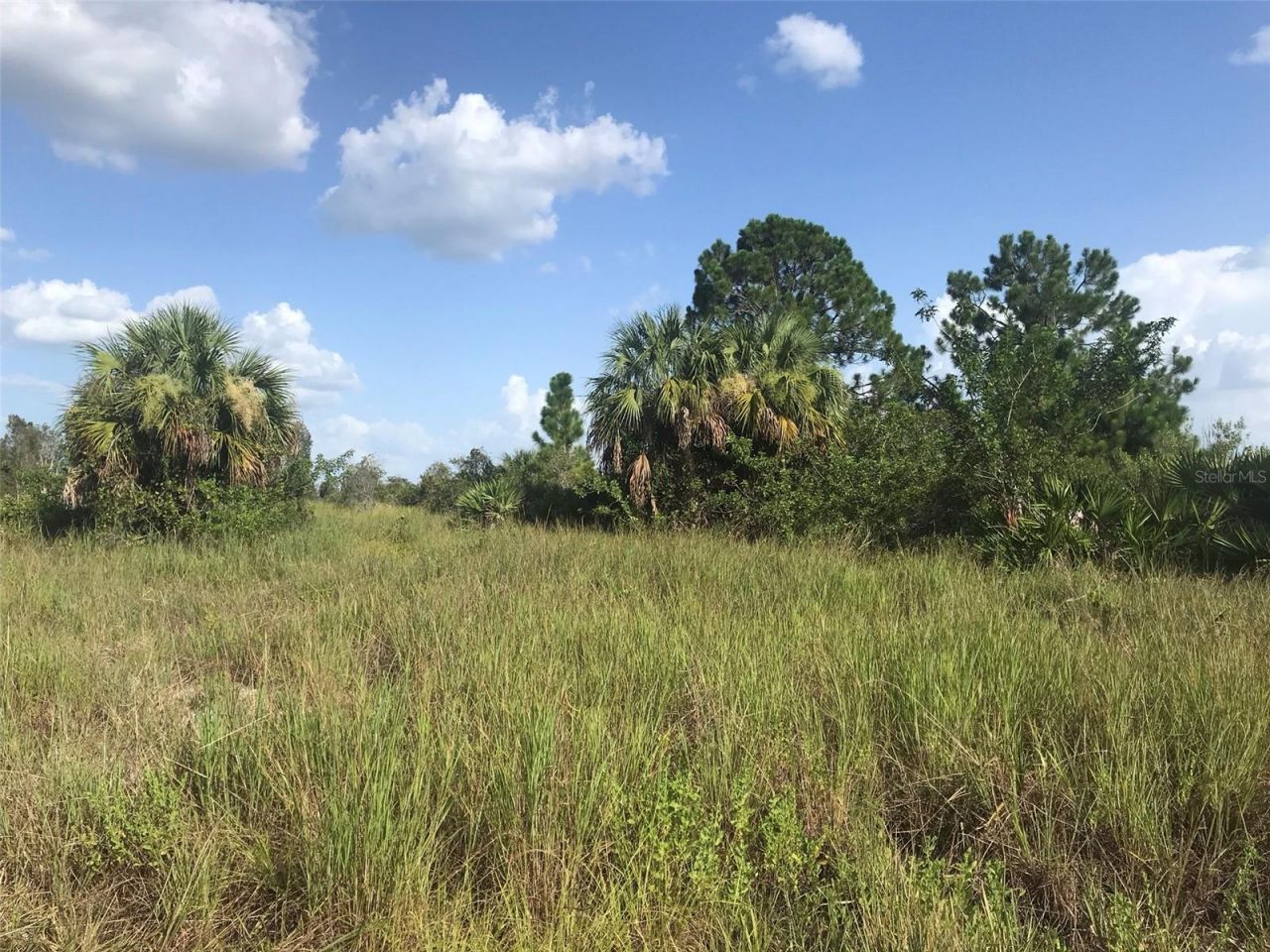 48033 Bermont Road, Punta Gorda, FL 33982 Photo
