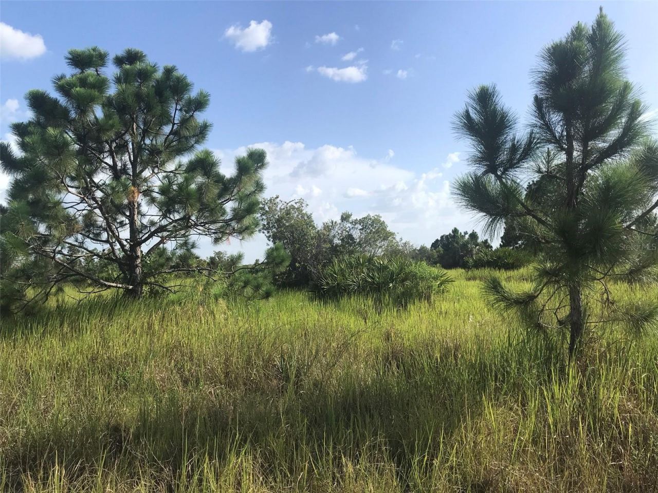 48033 Bermont Road, Punta Gorda, FL 33982 Photo