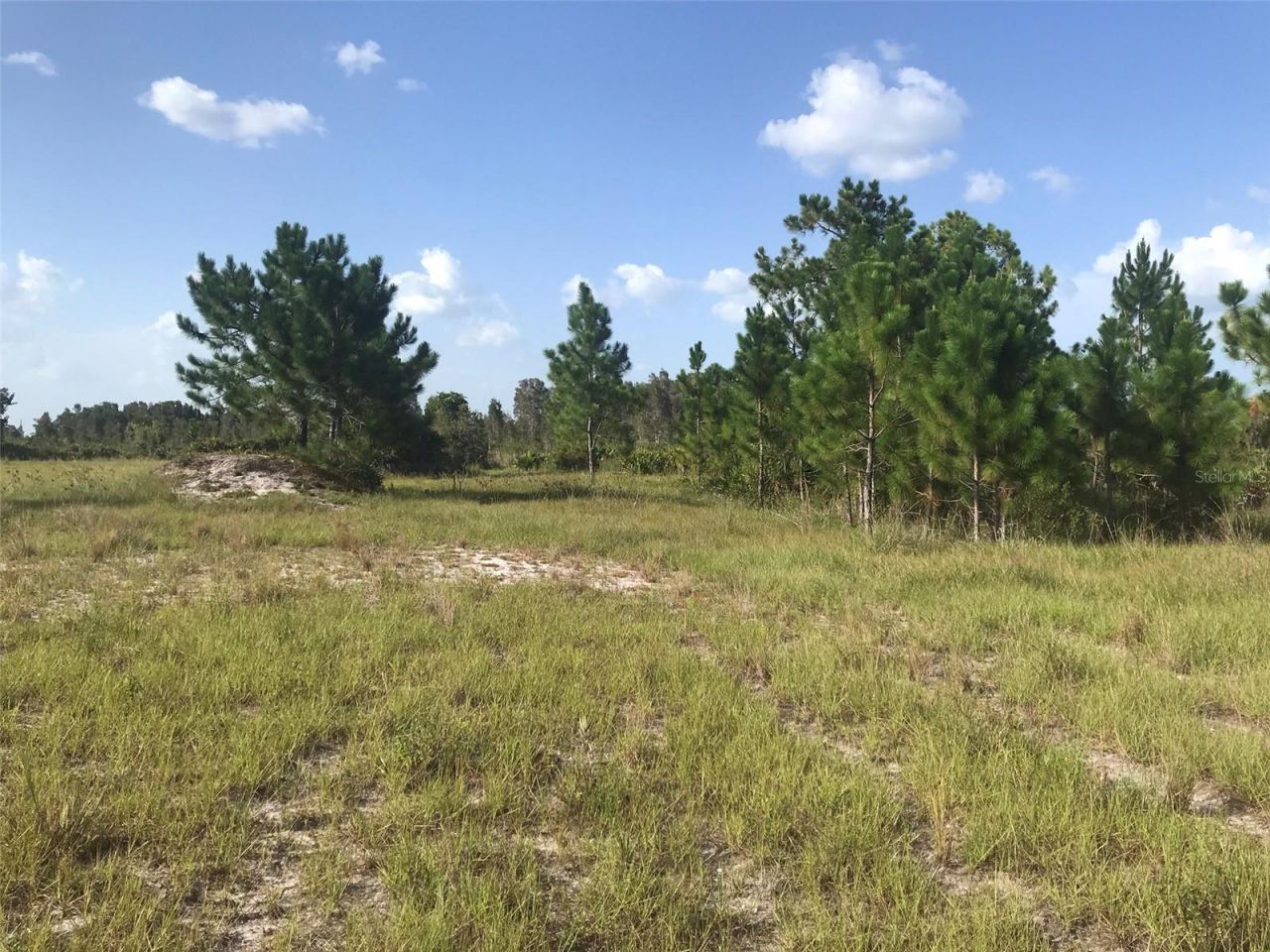 48033 Bermont Road, Punta Gorda, FL 33982 Photo