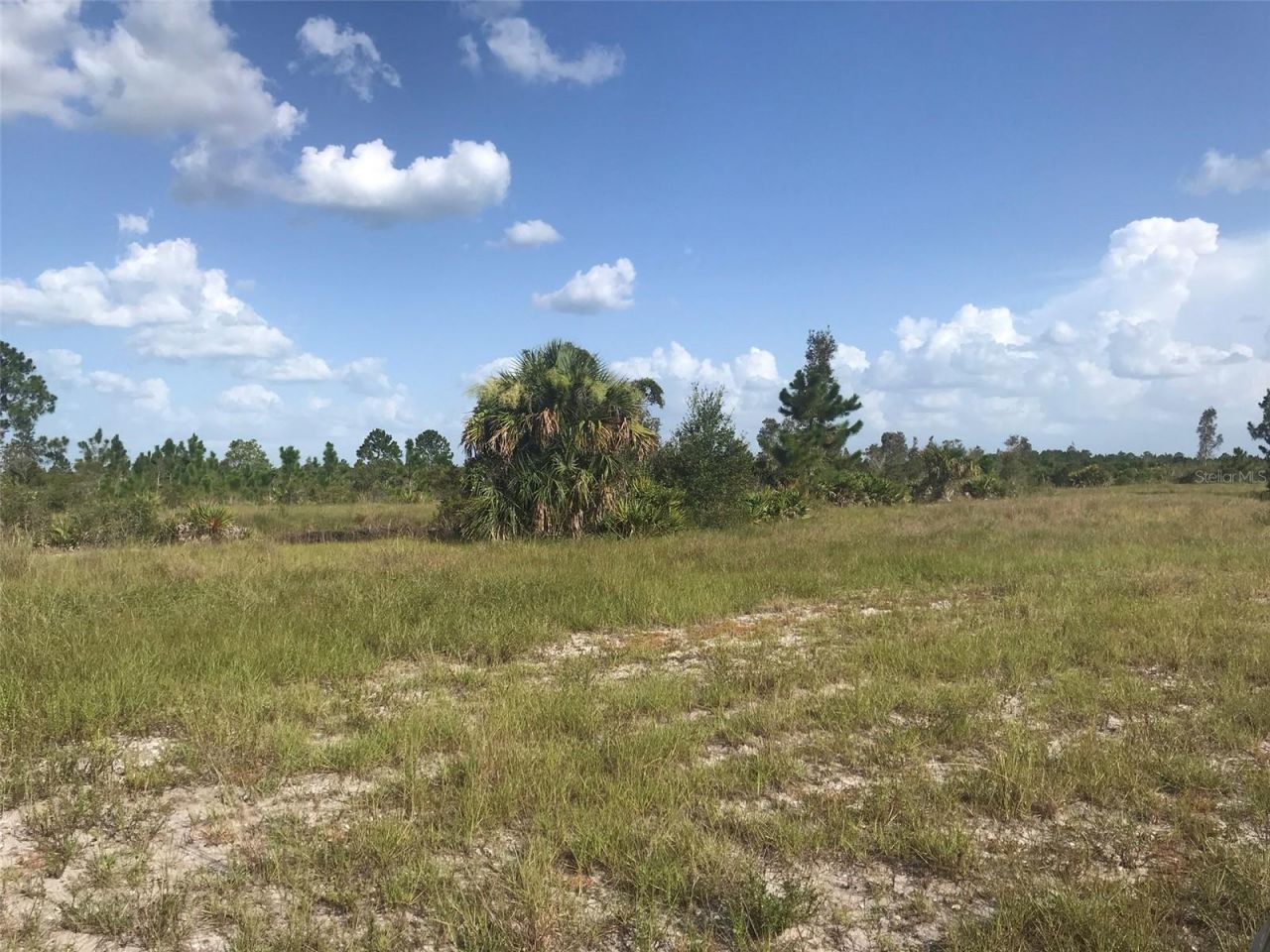 48033 Bermont Road, Punta Gorda, FL 33982 Photo