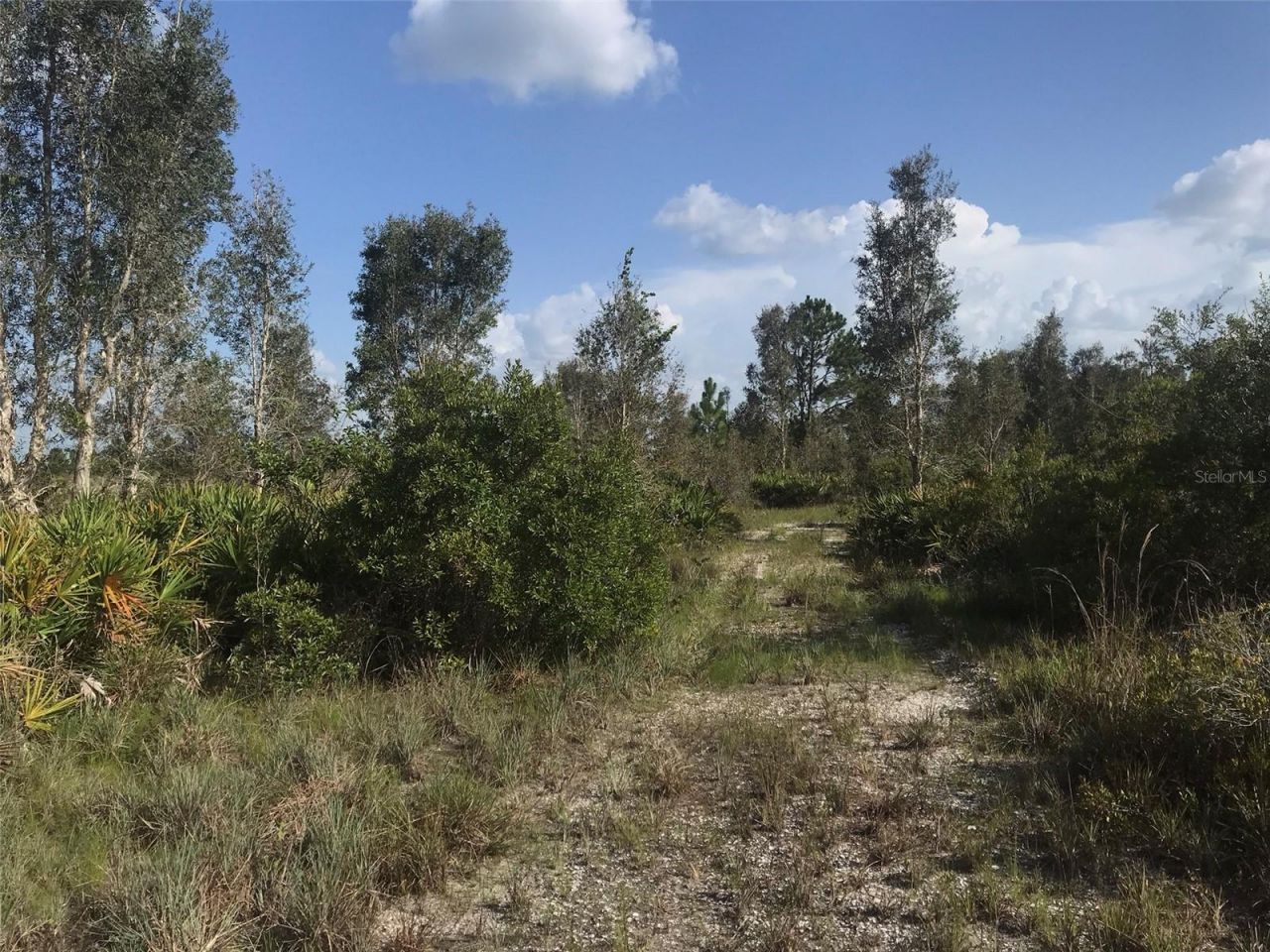 48033 Bermont Road, Punta Gorda, FL 33982 Photo