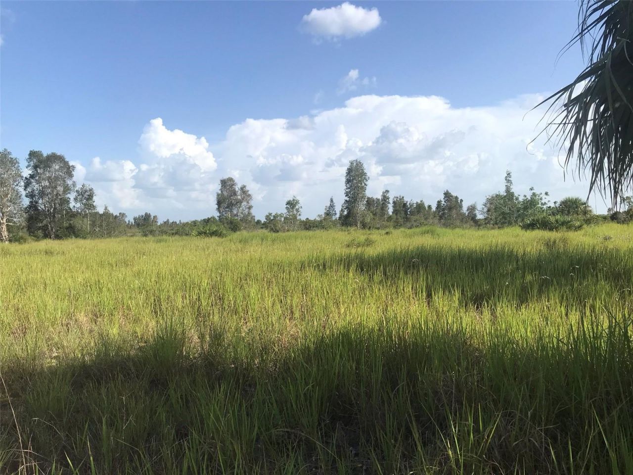 48033 Bermont Road, Punta Gorda, FL 33982 Photo