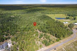 14014 Dunroven Drive, Bryceville, FL 32009 Photo