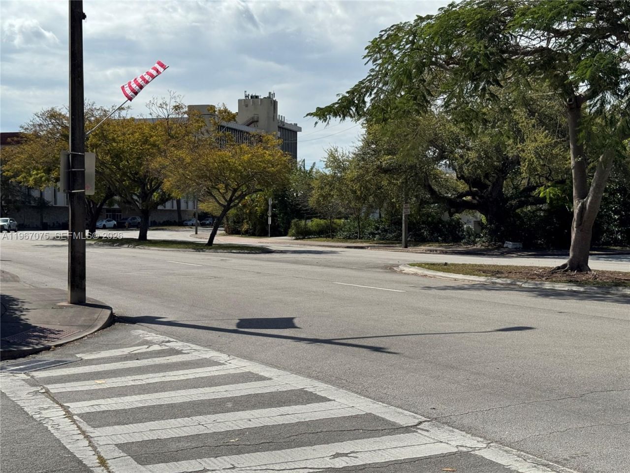 51 Montilla Ave, Unit 51, Coral Gables, FL 33134 Photo