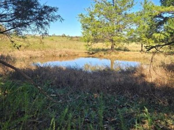 000 County Road 455 , Birch Tree, MO 65438