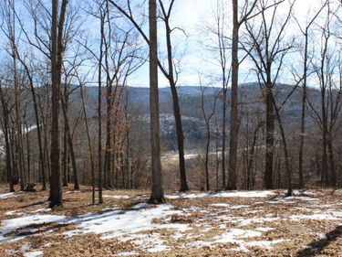 TBD DOGWOOD DR, Unit 36, MONTEREY, VA 24465