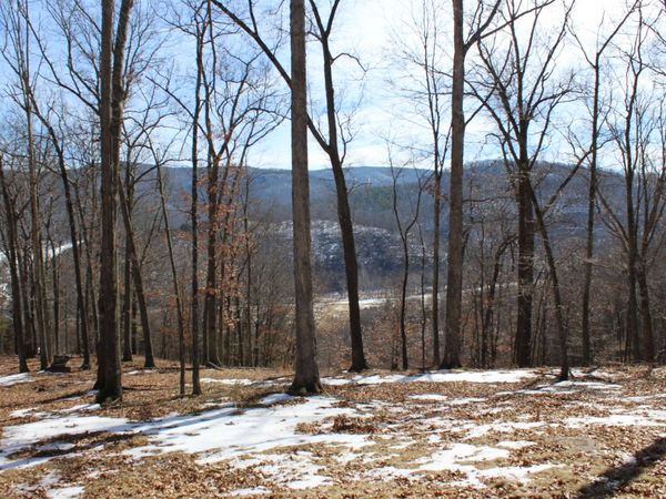 TBD DOGWOOD DR, Unit 36, MONTEREY, VA 24465