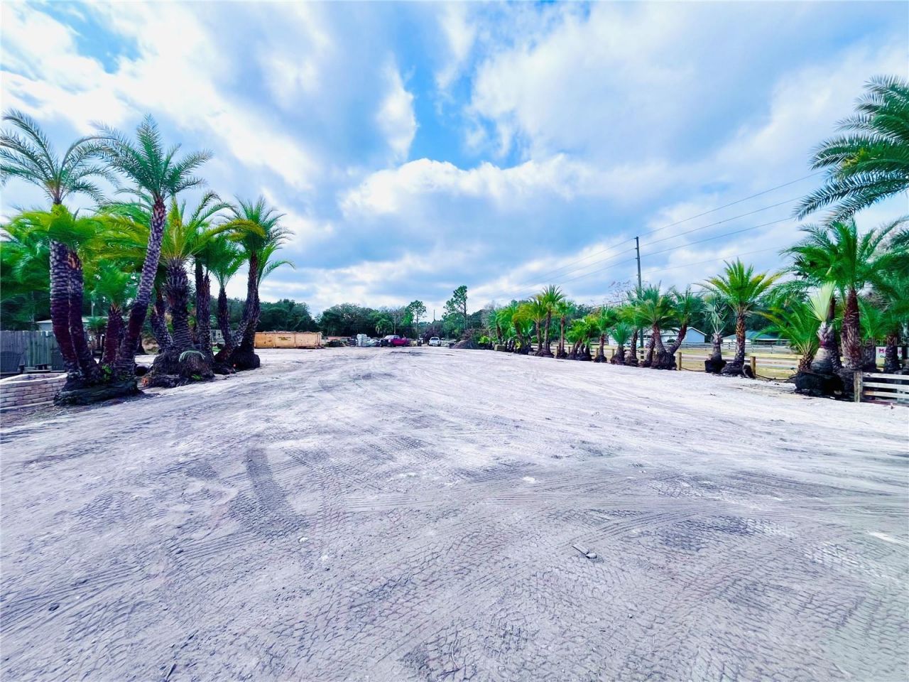 8440 County Road 48, Yalaha, FL 34797 Photo