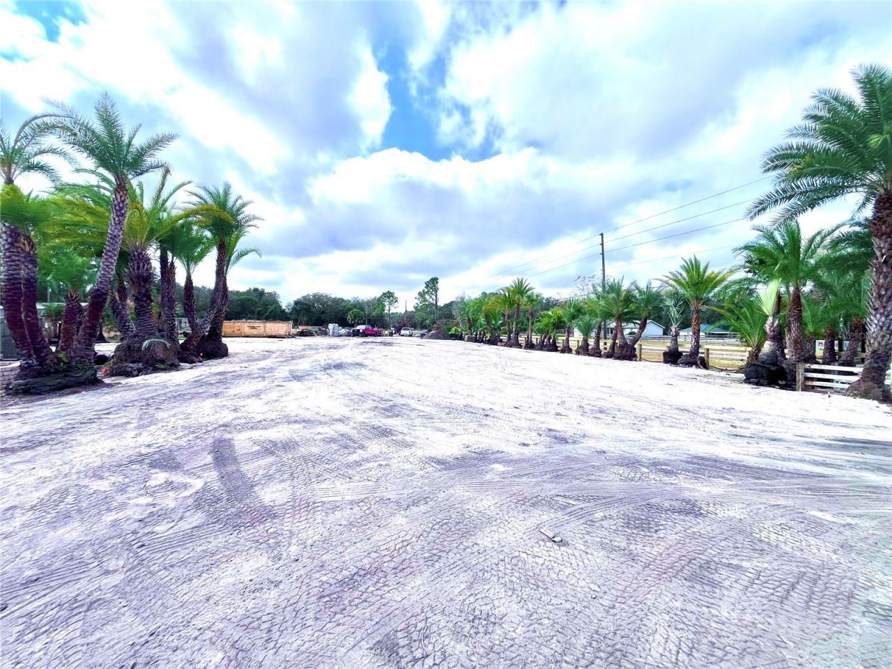 8440 County Road 48, Yalaha, FL 34797 Photo