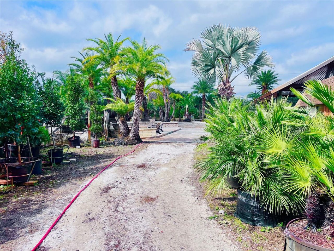 8440 County Road 48, Yalaha, FL 34797 Photo