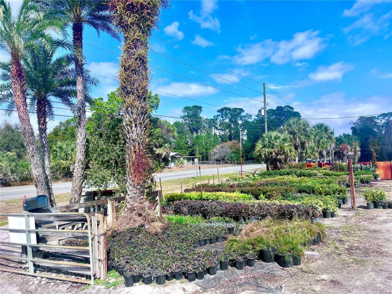 8440 County Road 48, Yalaha, FL 34797 Photo