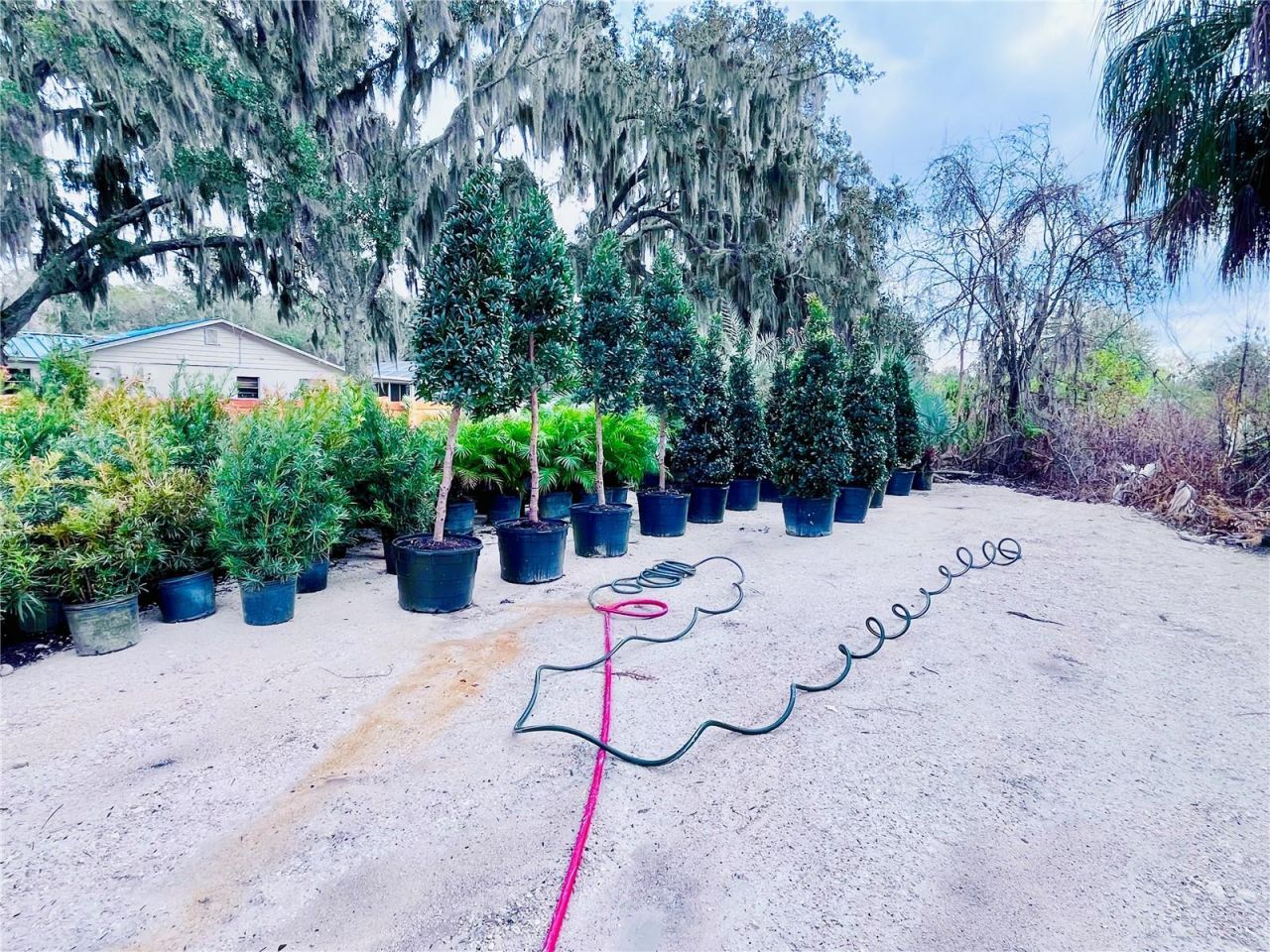 8440 County Road 48, Yalaha, FL 34797 Photo