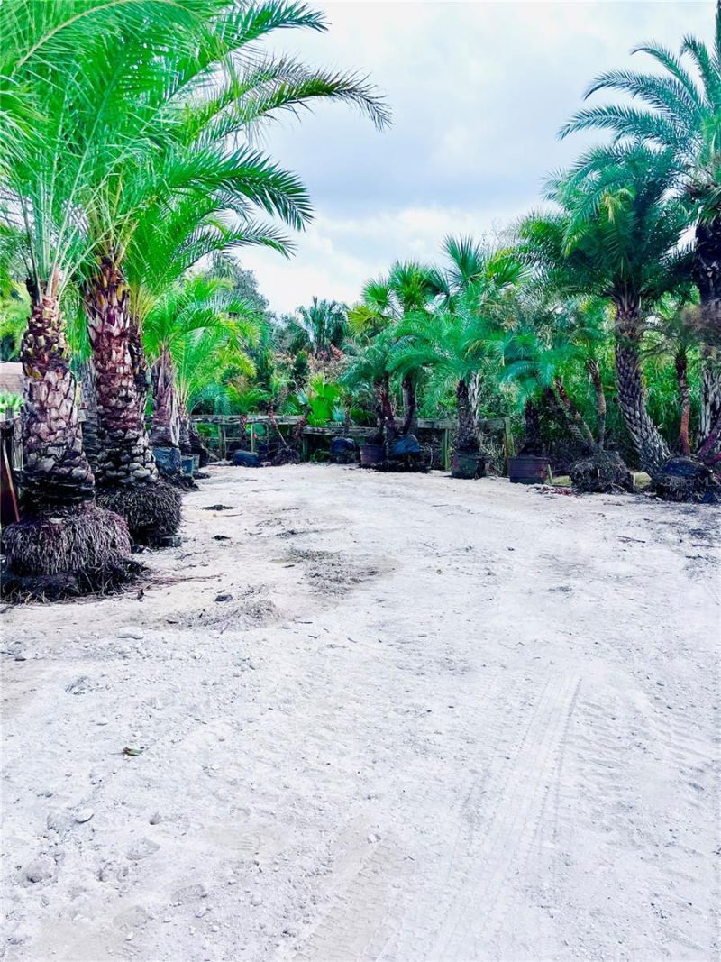 8440 County Road 48, Yalaha, FL 34797 Photo