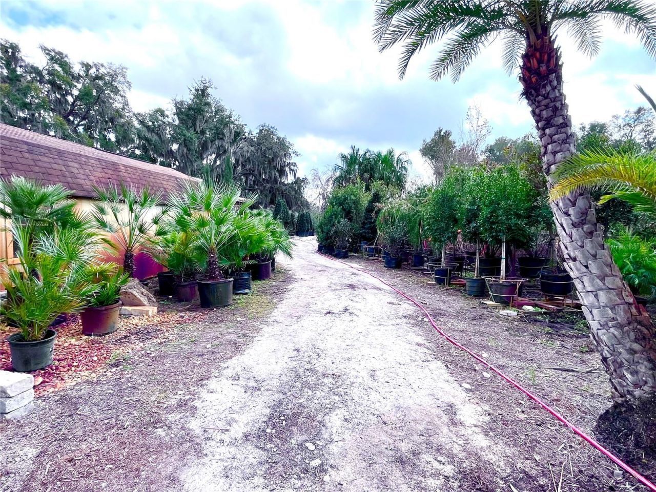 8440 County Road 48, Yalaha, FL 34797 Photo