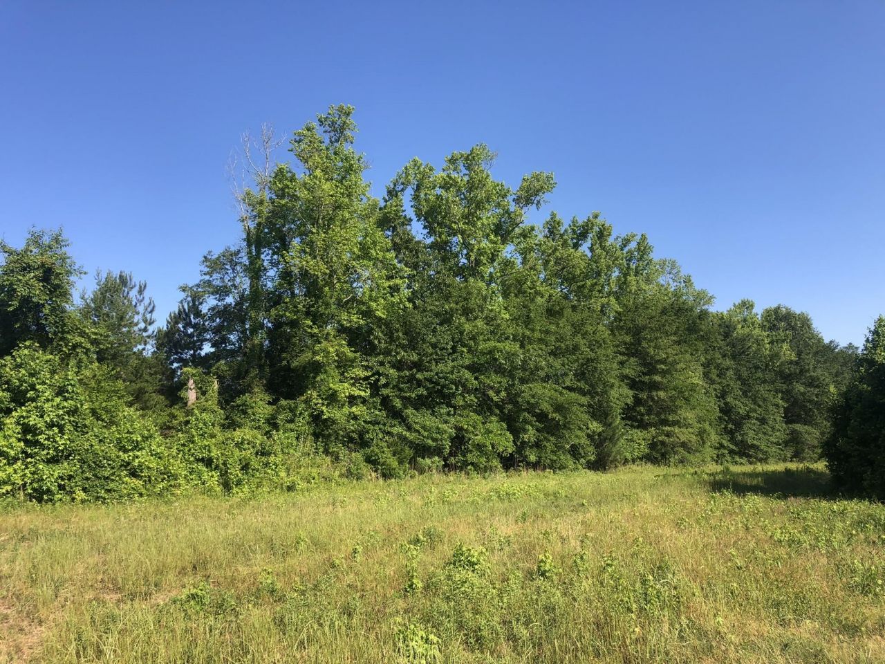 Tbd Vantage Ln  Photo 10