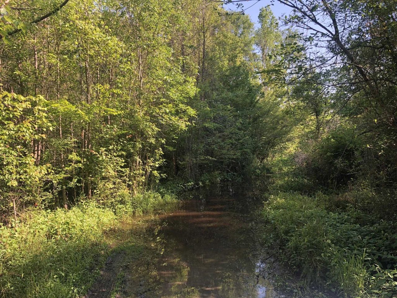 Tbd Vantage Ln  Photo 11