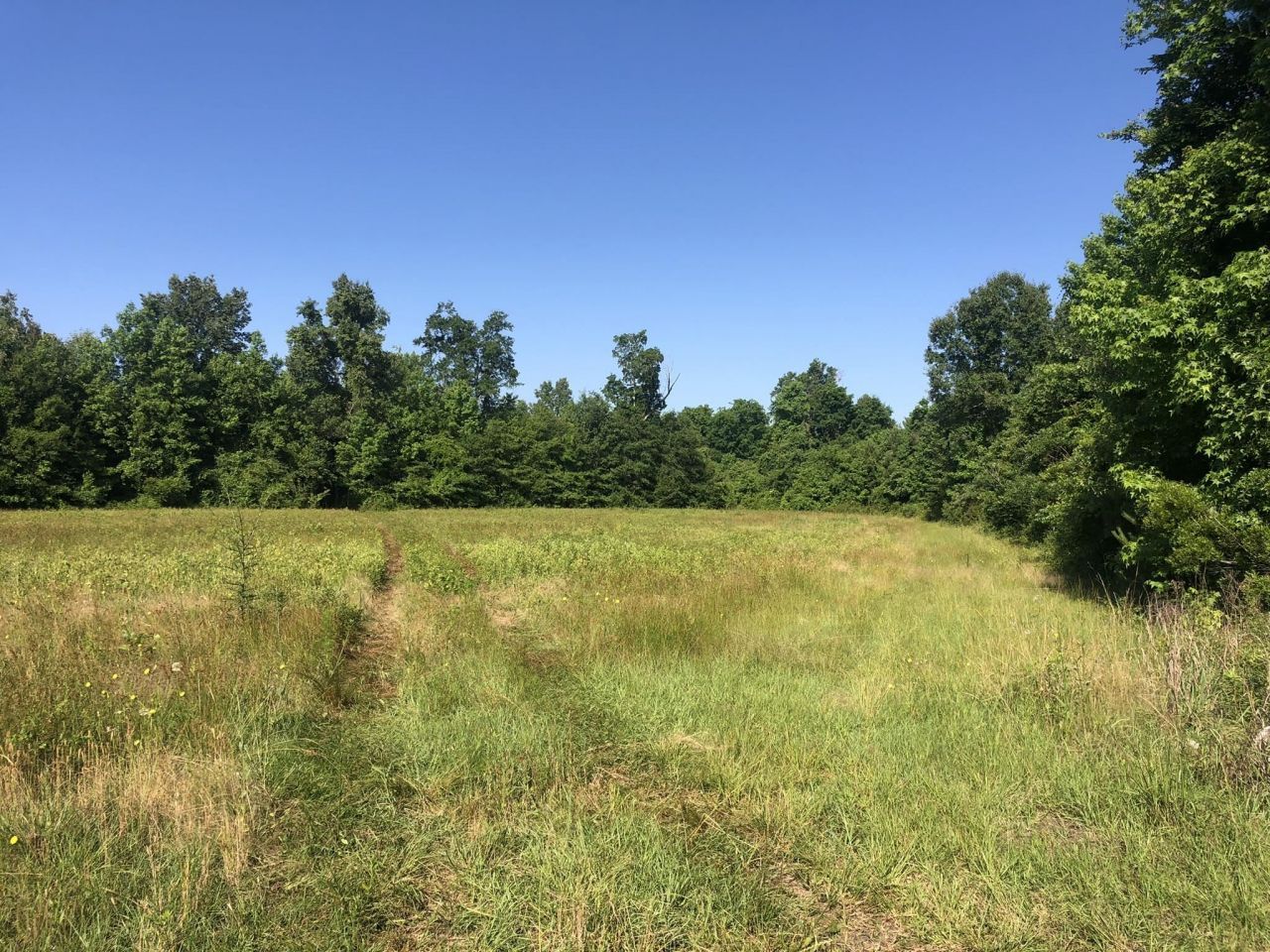 Tbd Vantage Ln  Photo 12