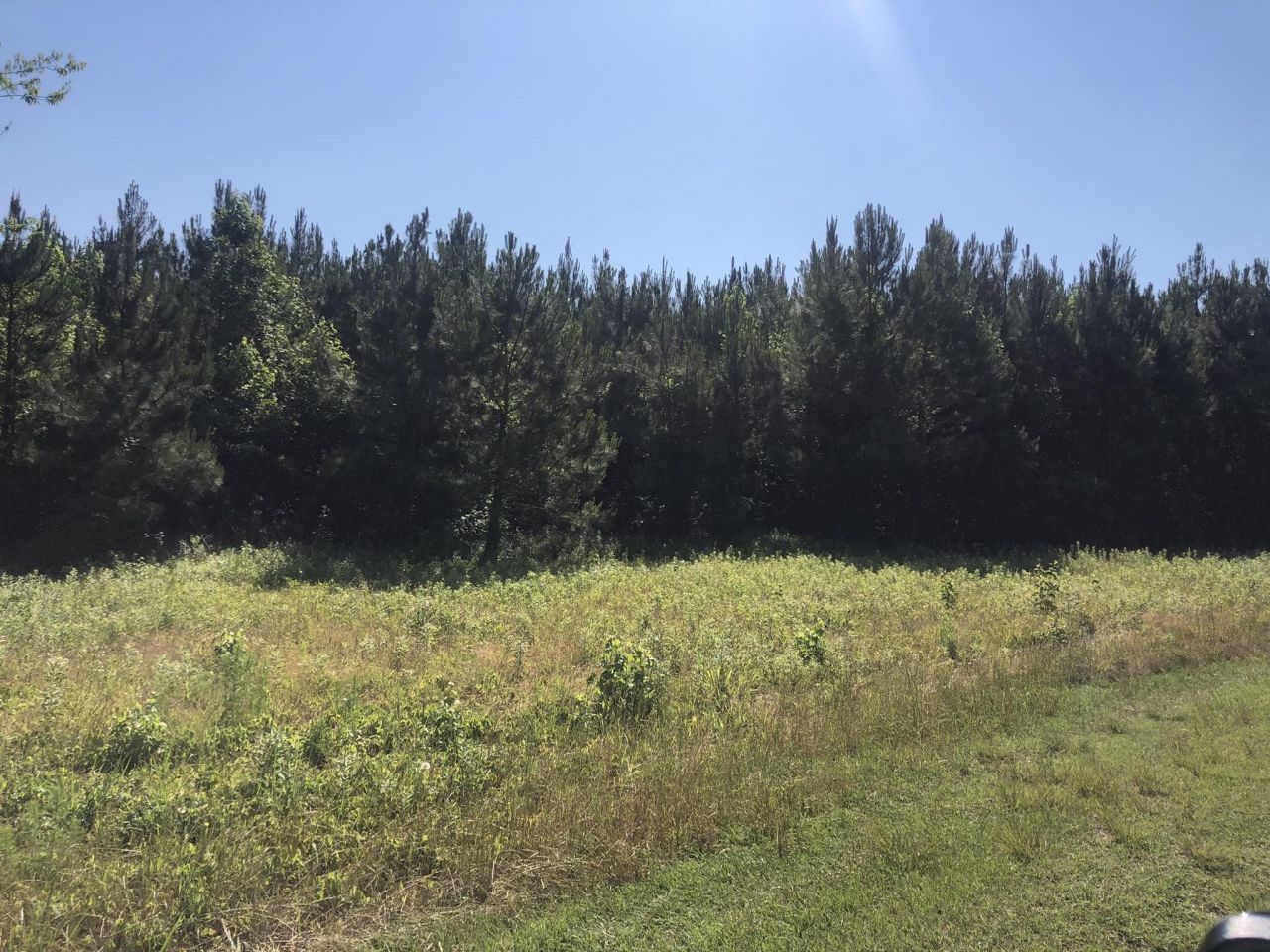 Tbd Vantage Ln  Photo 13