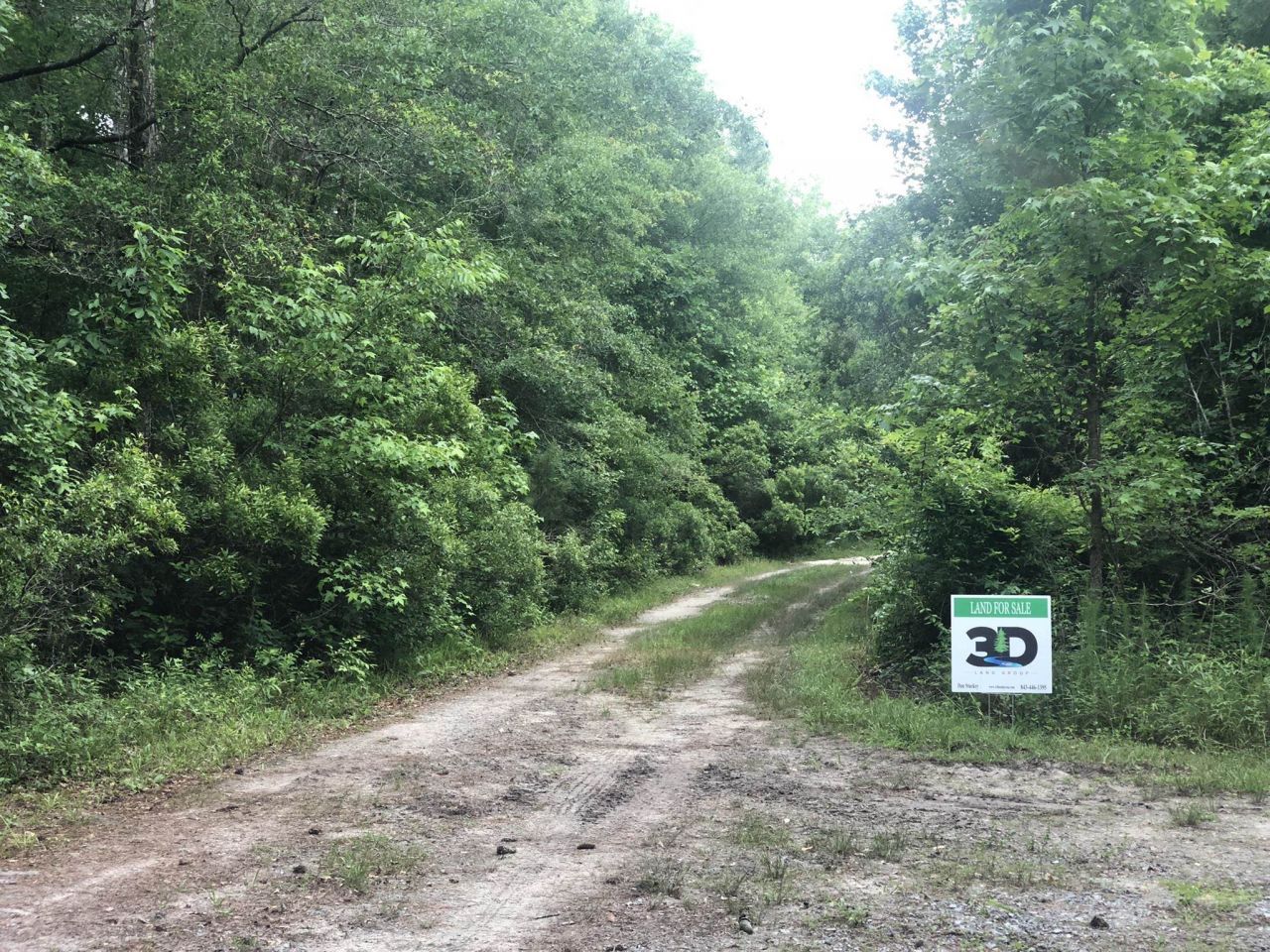 Tbd Vantage Ln  Photo 14