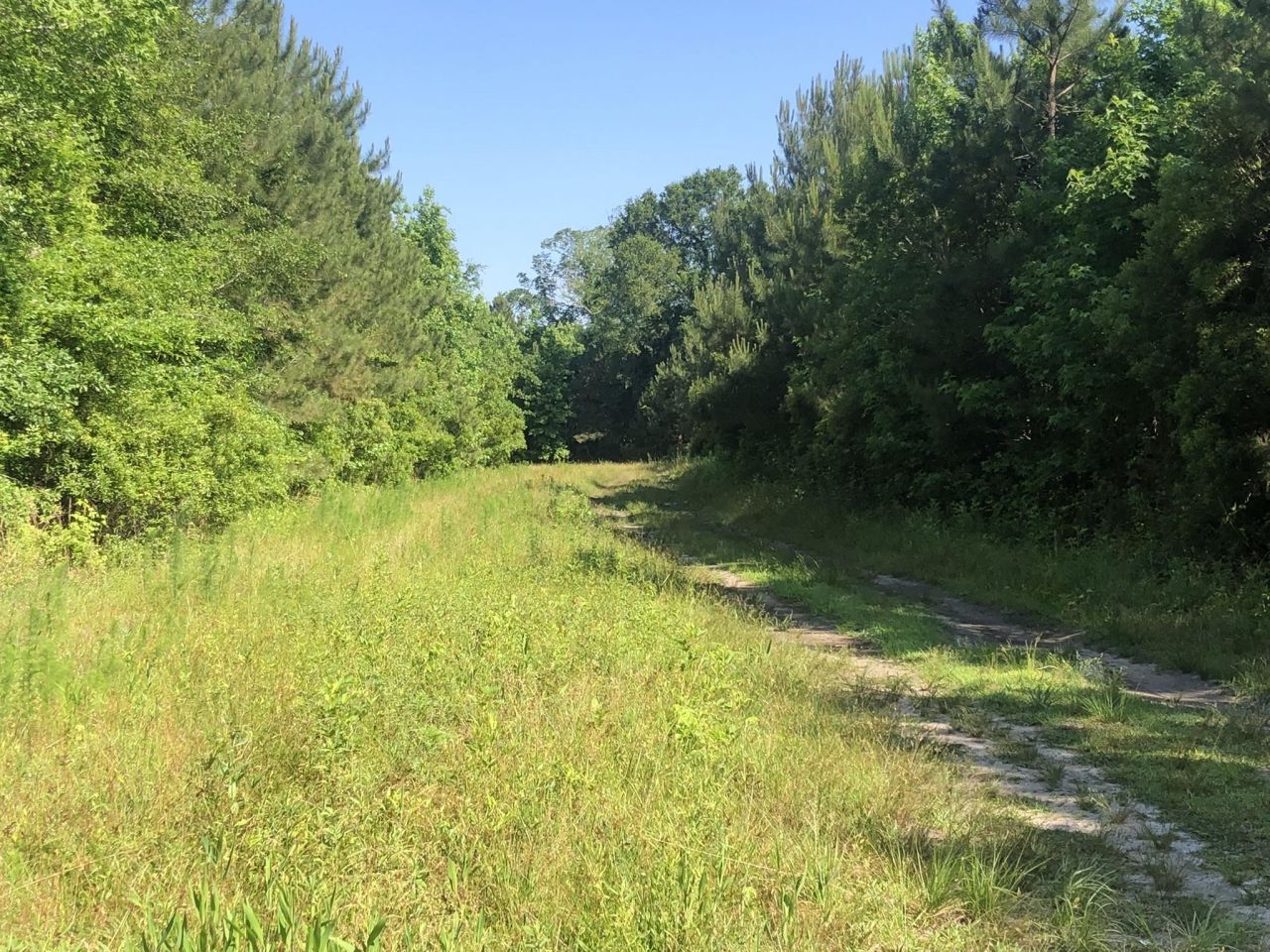 Tbd Vantage Ln  Photo 15