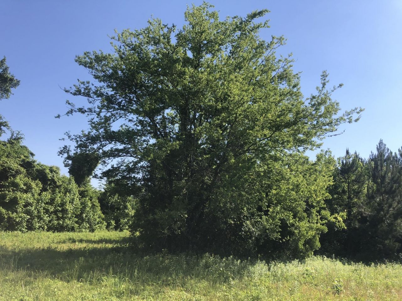 Tbd Vantage Ln  Photo 16