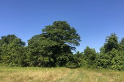 Tbd Vantage Ln  photo 4