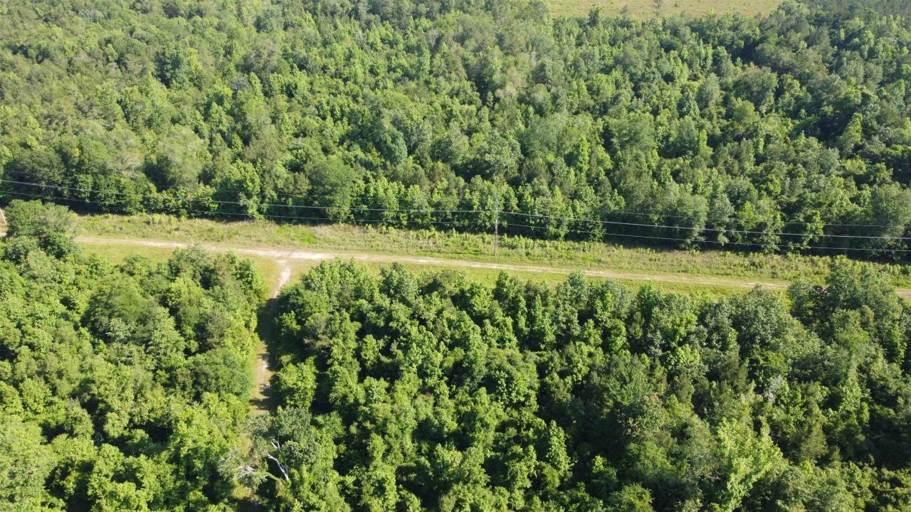 Tbd Vantage Ln  Photo 4