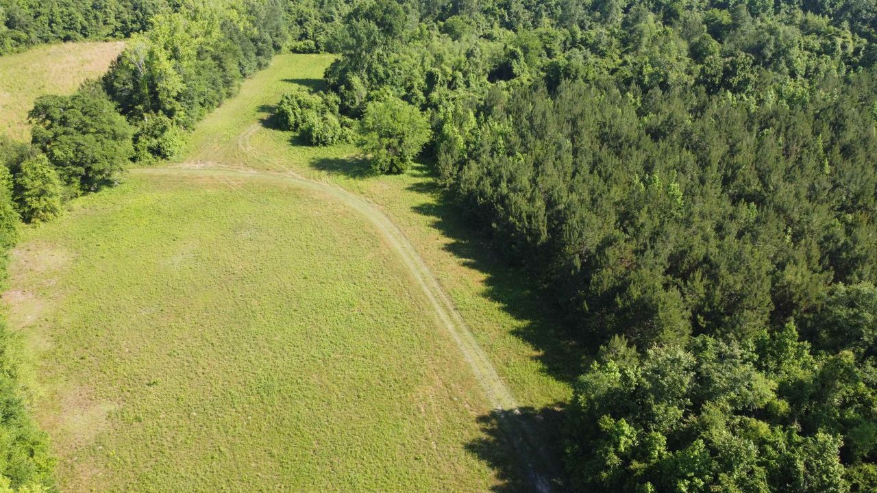 Tbd Vantage Ln  Photo 7