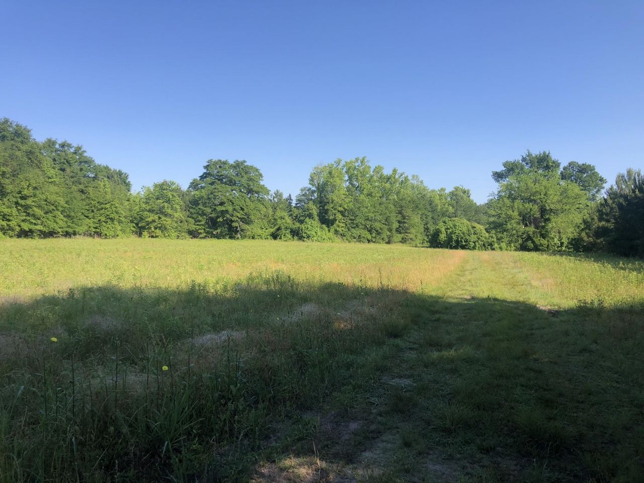 Tbd Vantage Ln  Photo 8