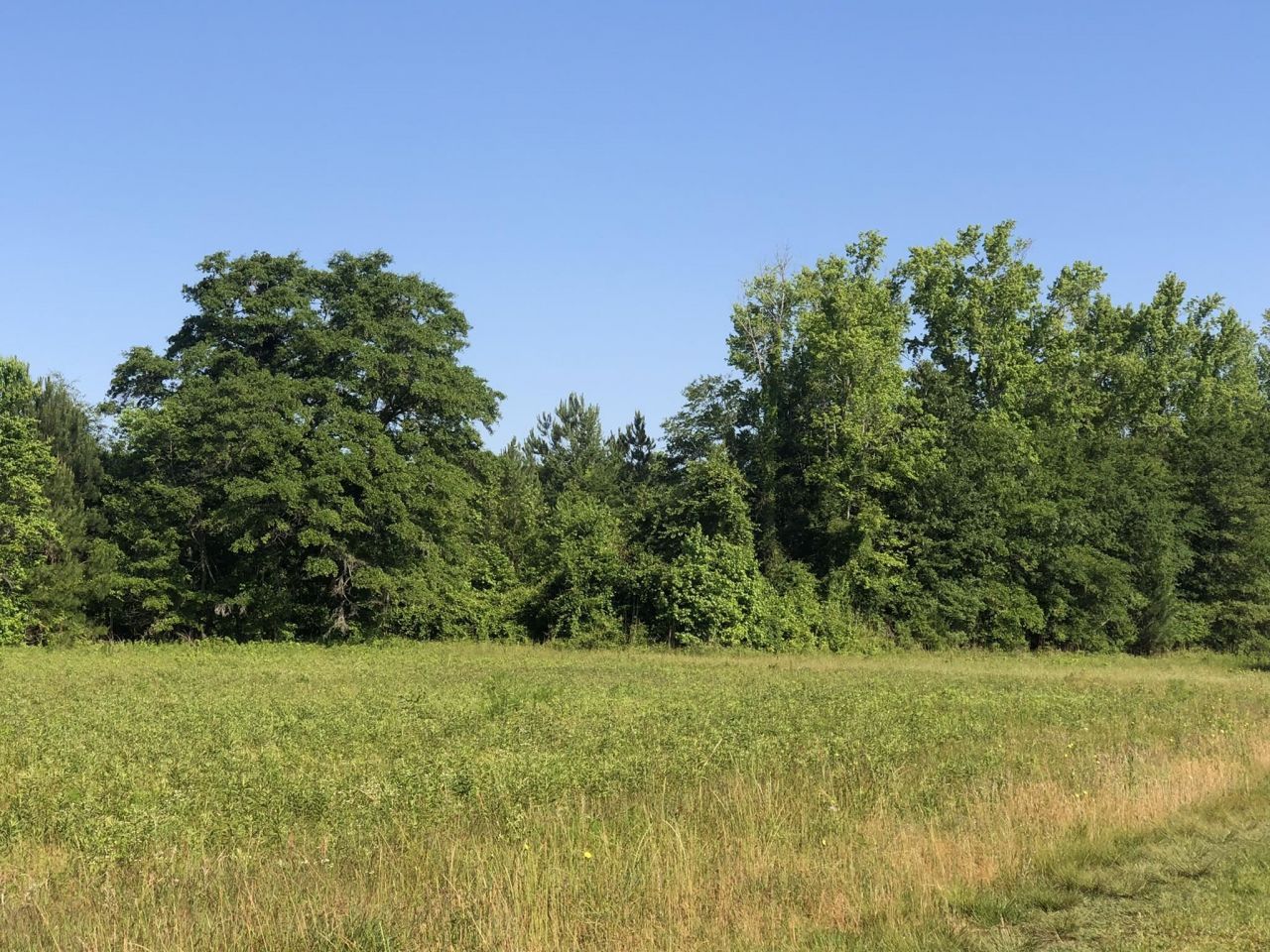 Tbd Vantage Ln  Photo 9