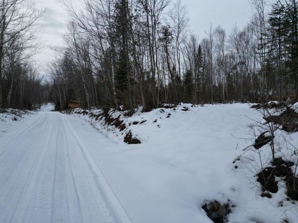 Lot 1 Moores Road , Springfield, ME 04487