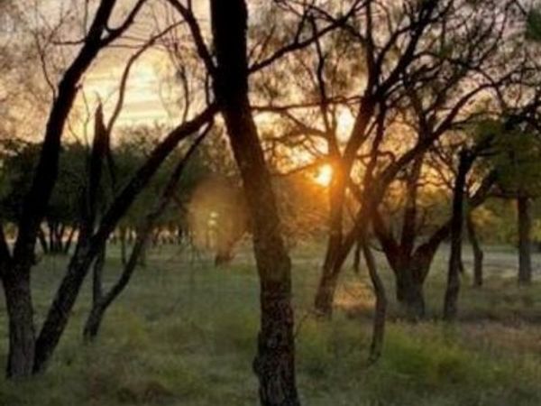 495 Buffalo Creek Drive (Lot 95) DR, Evant, TX 76525