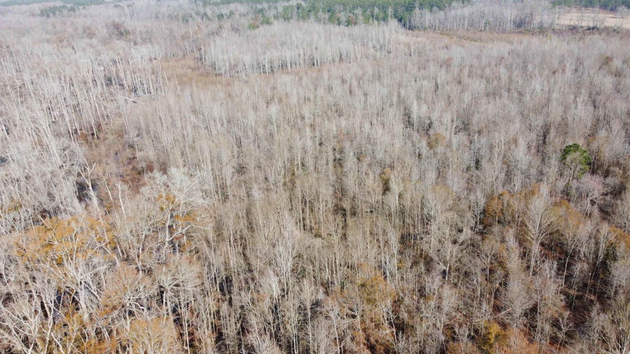 Tbd Hunters Chapel Rd  Photo 14