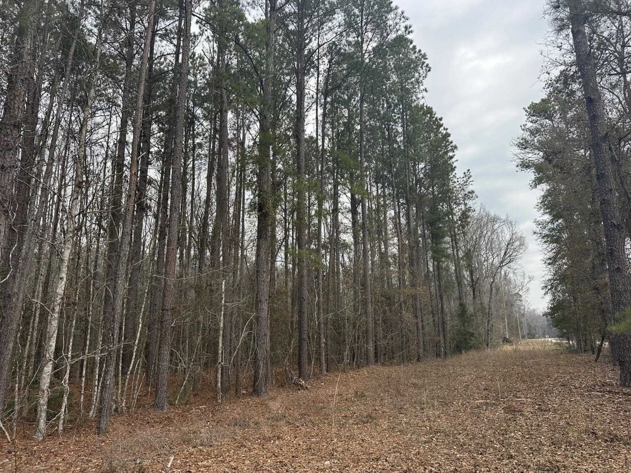 Tbd Hunters Chapel Rd  Photo 21