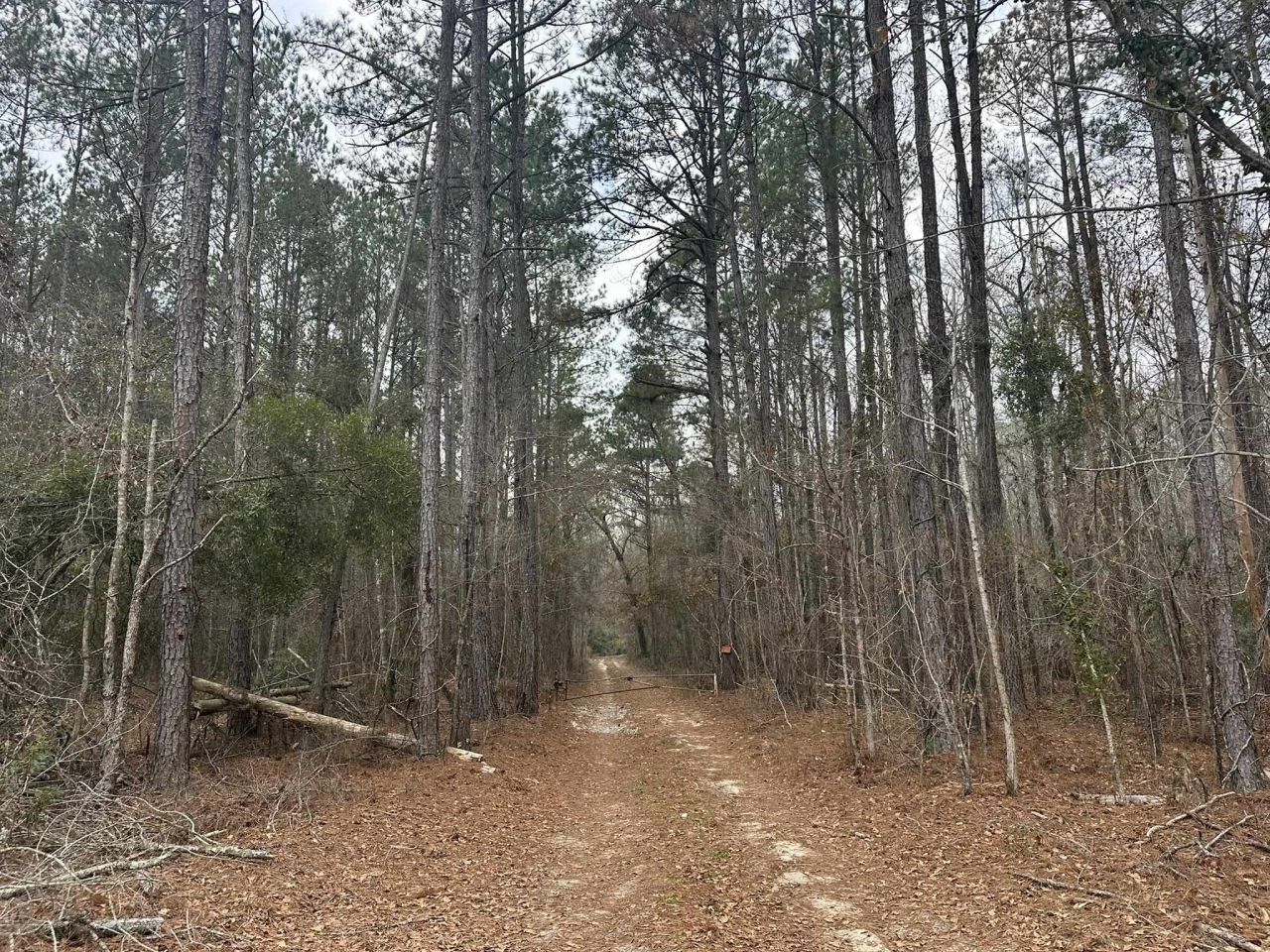 Tbd Hunters Chapel Rd  Photo 22