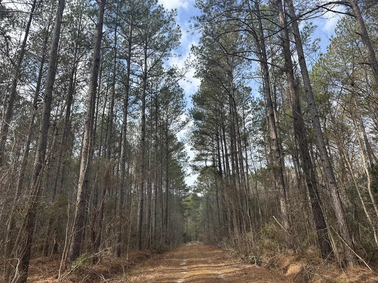 Tbd Hunters Chapel Rd  Photo 24