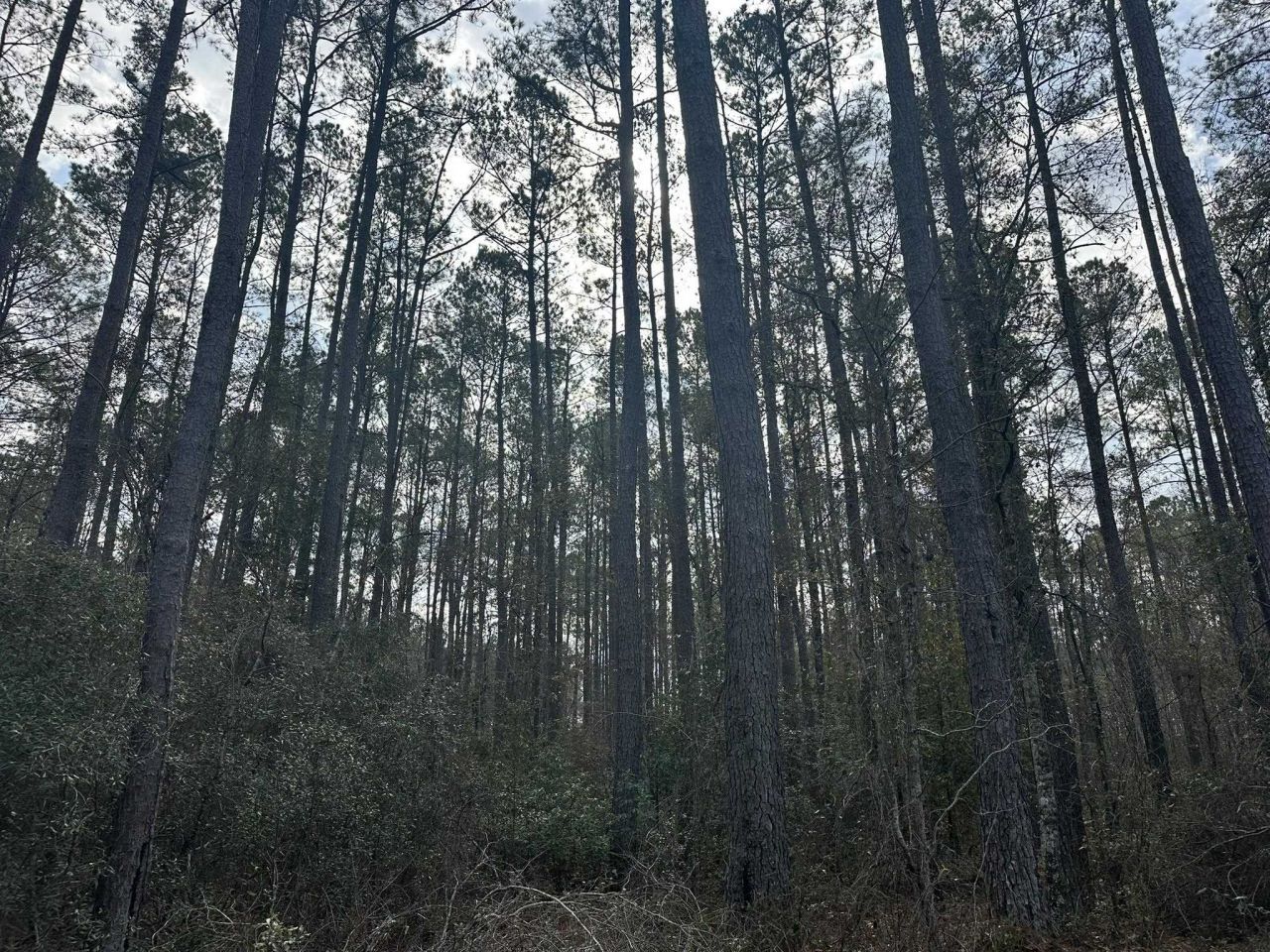 Tbd Hunters Chapel Rd  Photo 26