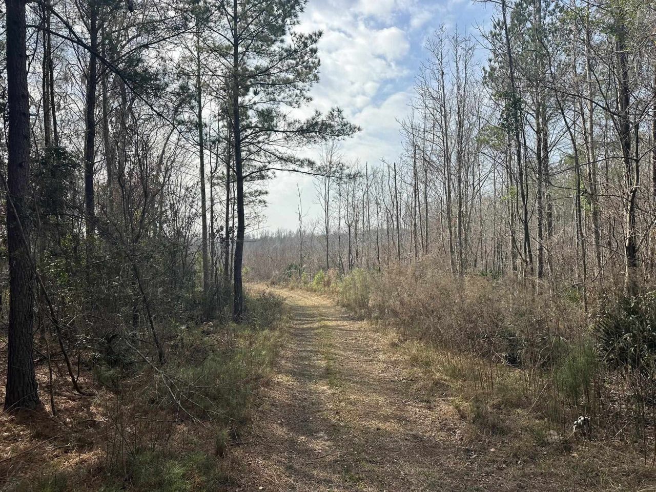 Tbd Hunters Chapel Rd  Photo 28