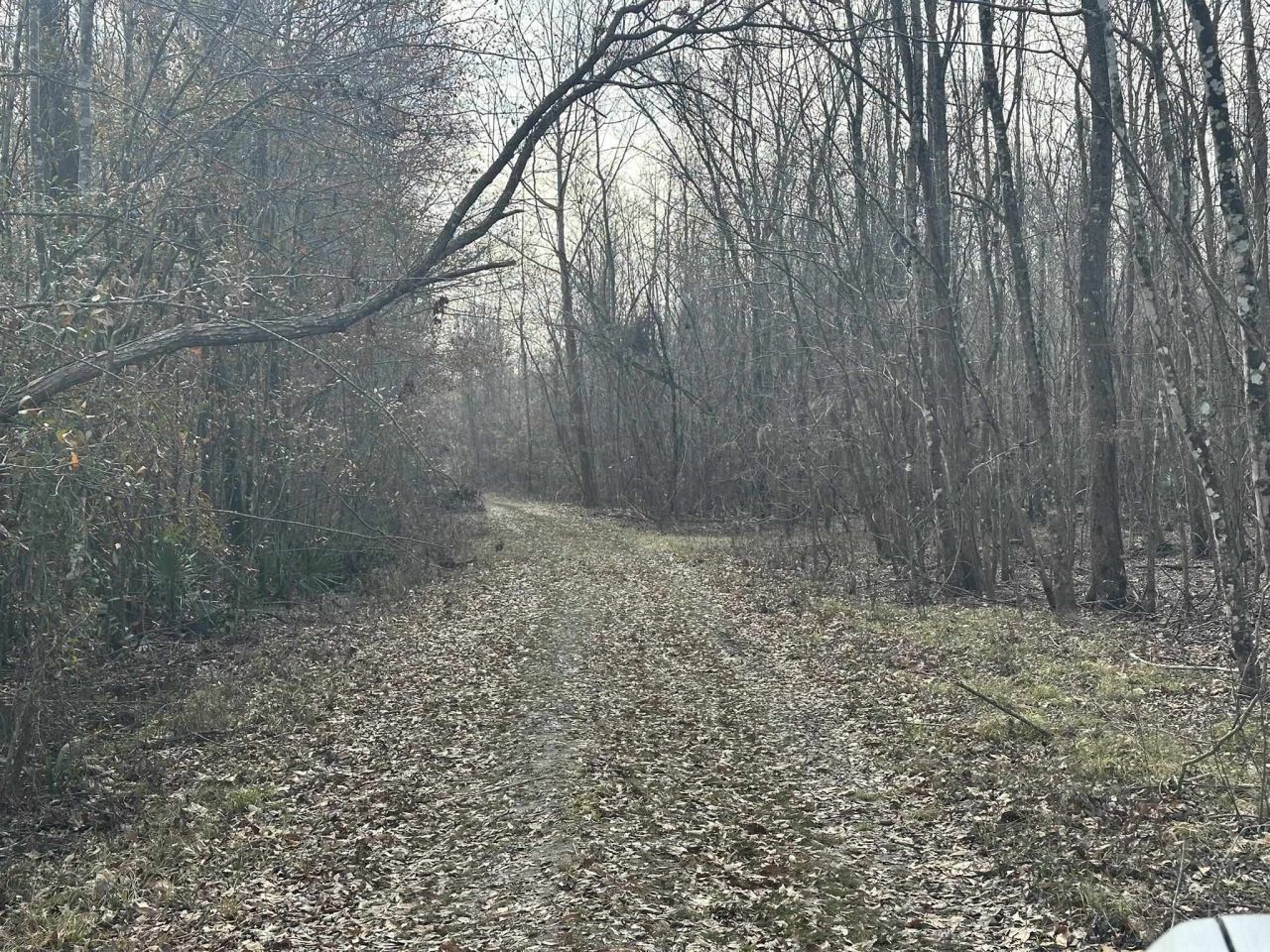 Tbd Hunters Chapel Rd  Photo 29