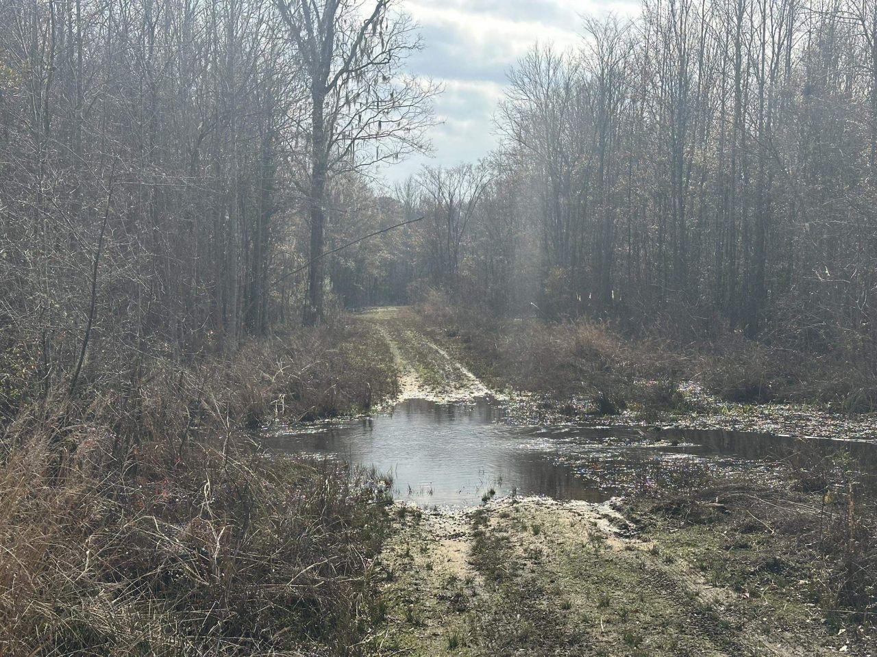 Tbd Hunters Chapel Rd  Photo 30