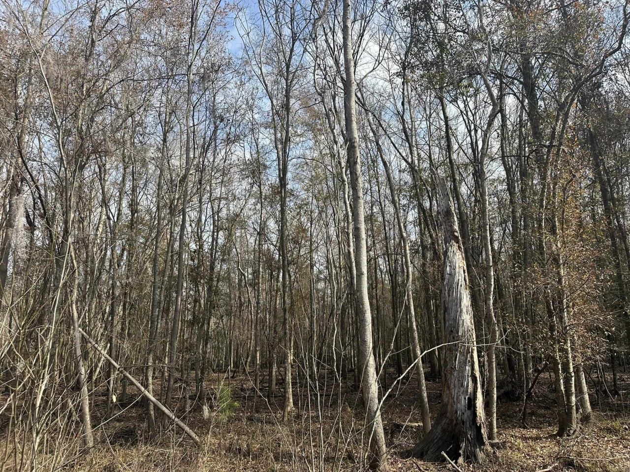 Tbd Hunters Chapel Rd  Photo 31