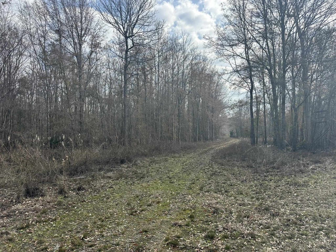 Tbd Hunters Chapel Rd  Photo 32