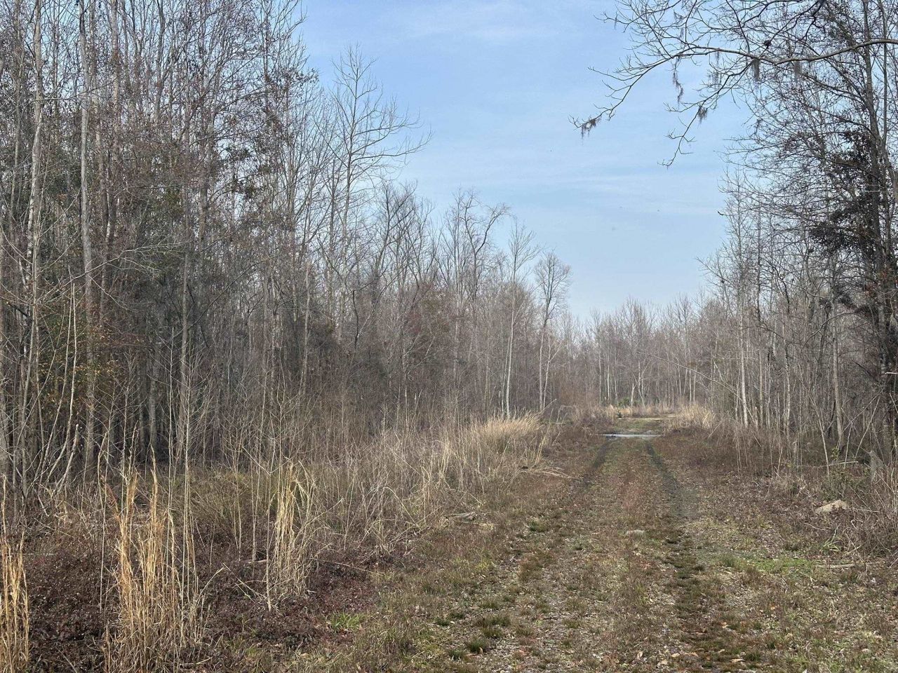 Tbd Hunters Chapel Rd  Photo 33