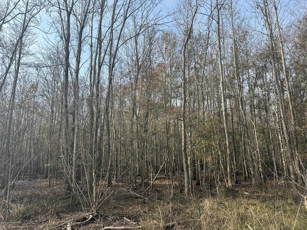 Tbd Hunters Chapel Rd  Photo 34